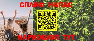 ГАЛЛЮЦИНОГЕННЫЕ ГРИБЫ Гагарин