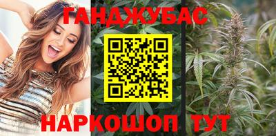 сатива Гатчина