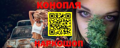 дурь Гай
