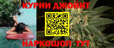 сатива Гатчина