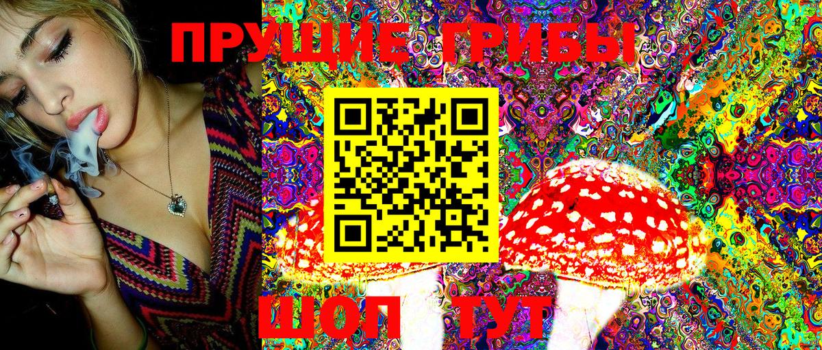 Шуя  купить  сайты  Галлюциногенные грибы MAGIC MUSHROOMS  Вход с VPN  Галлюциногенные грибы ЛСД 