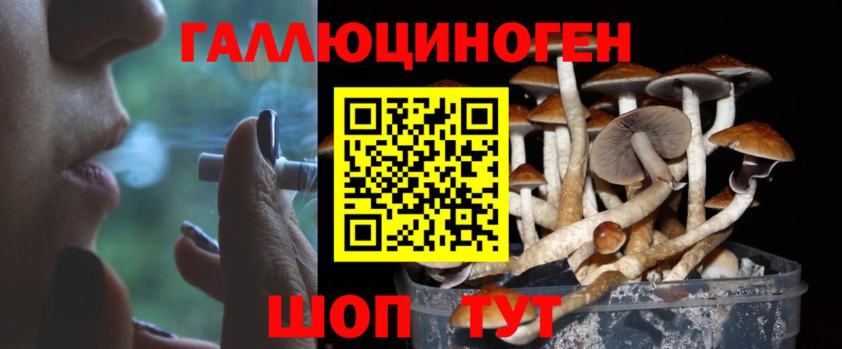 Псилоцибиновые грибы мицелий Шуя